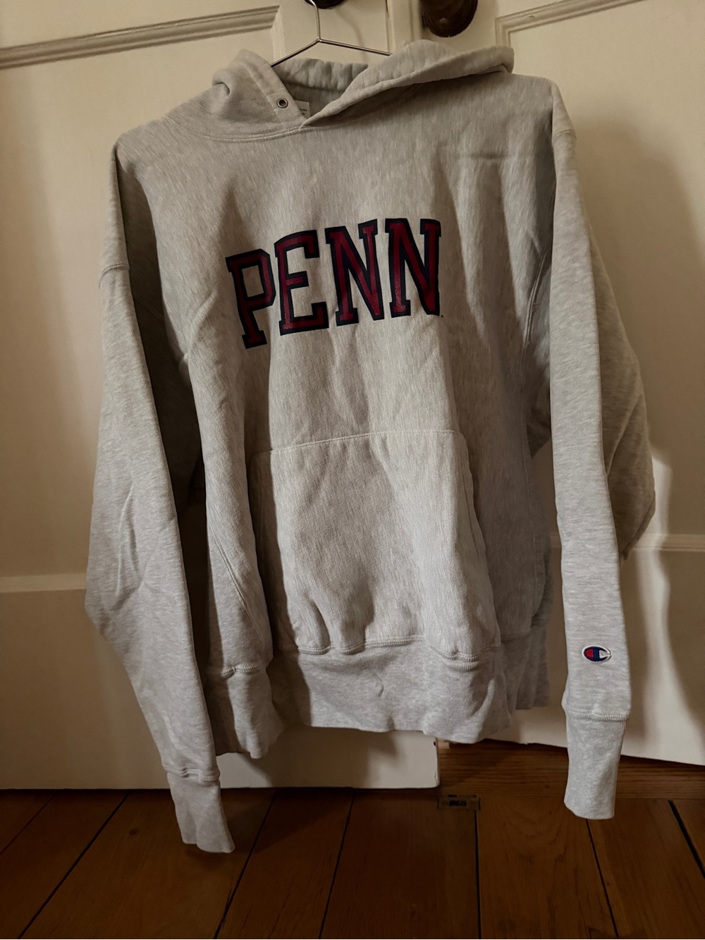 Vintage Y2K Champion Reverse weave gray sweatshirt UPENN XL